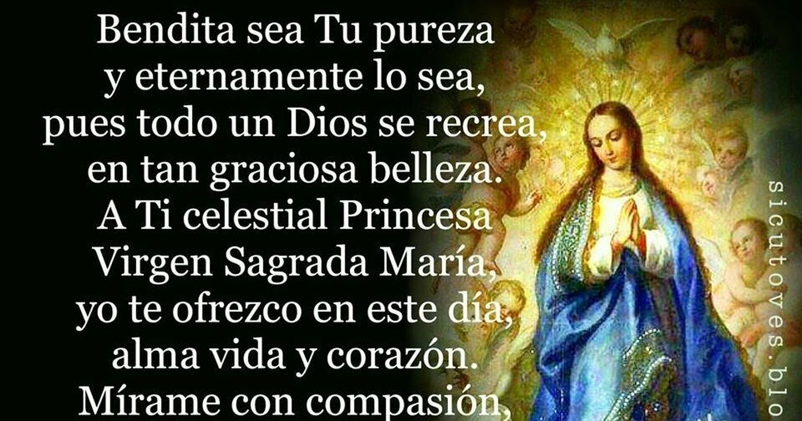 Bendita sea tu pureza