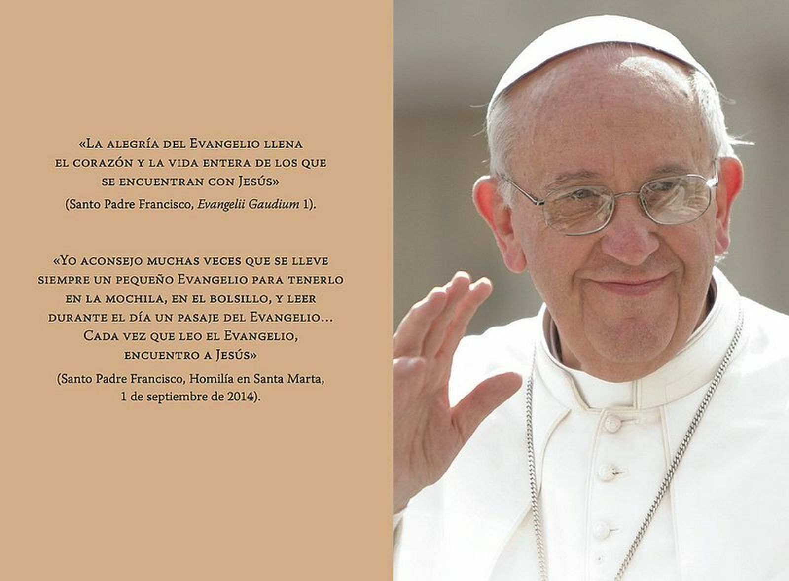 El Papa y Los Evangelios