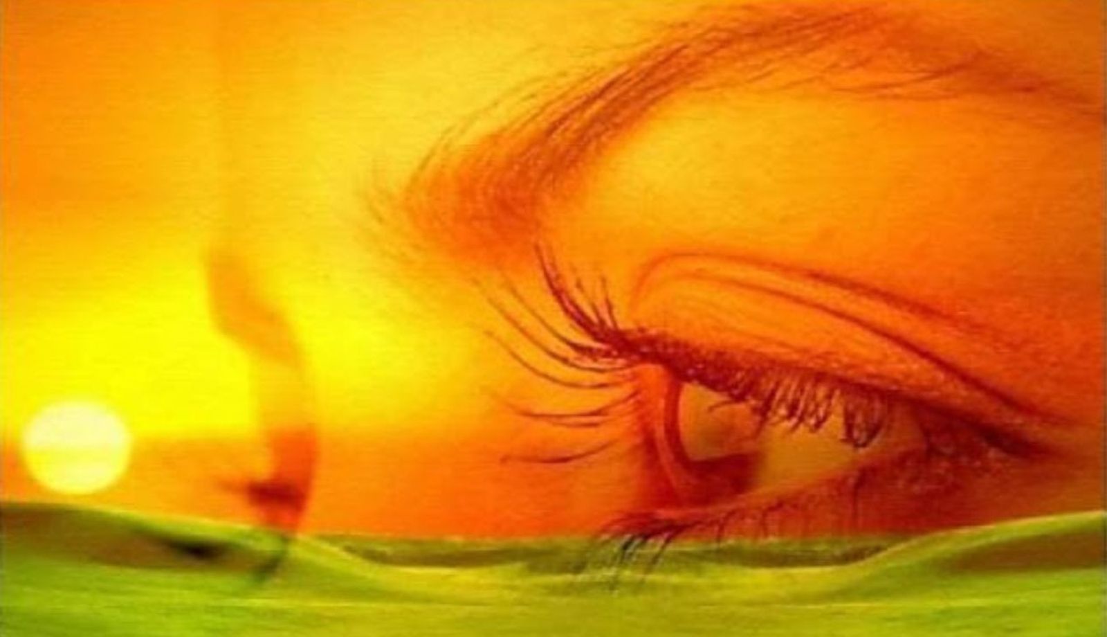 Contemplación en la acción