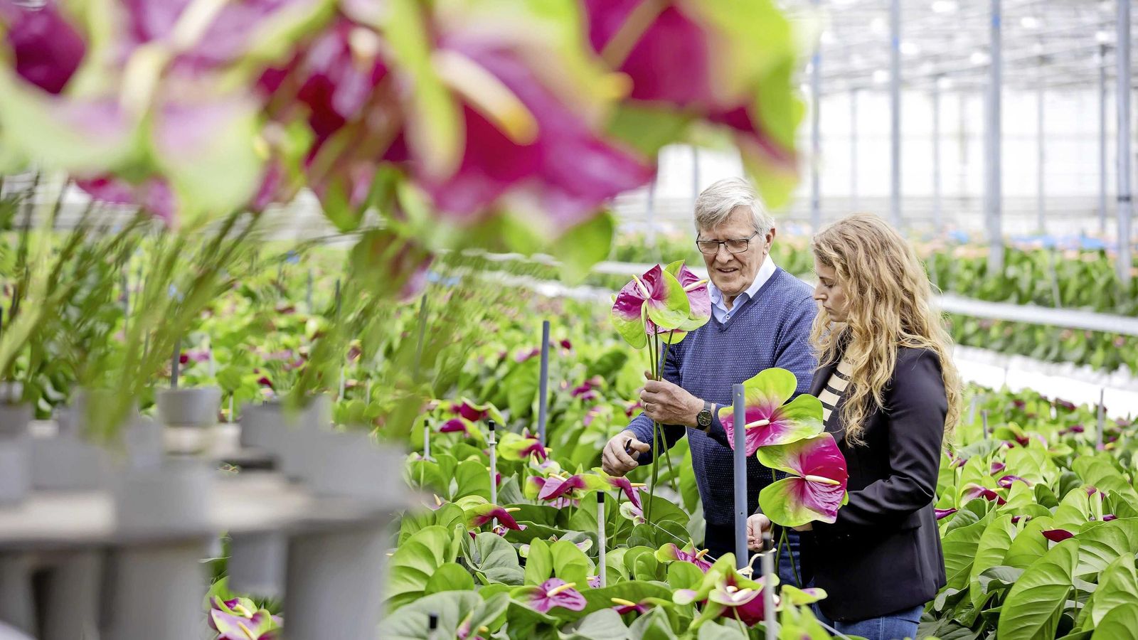 Florista Piet van der Burg
