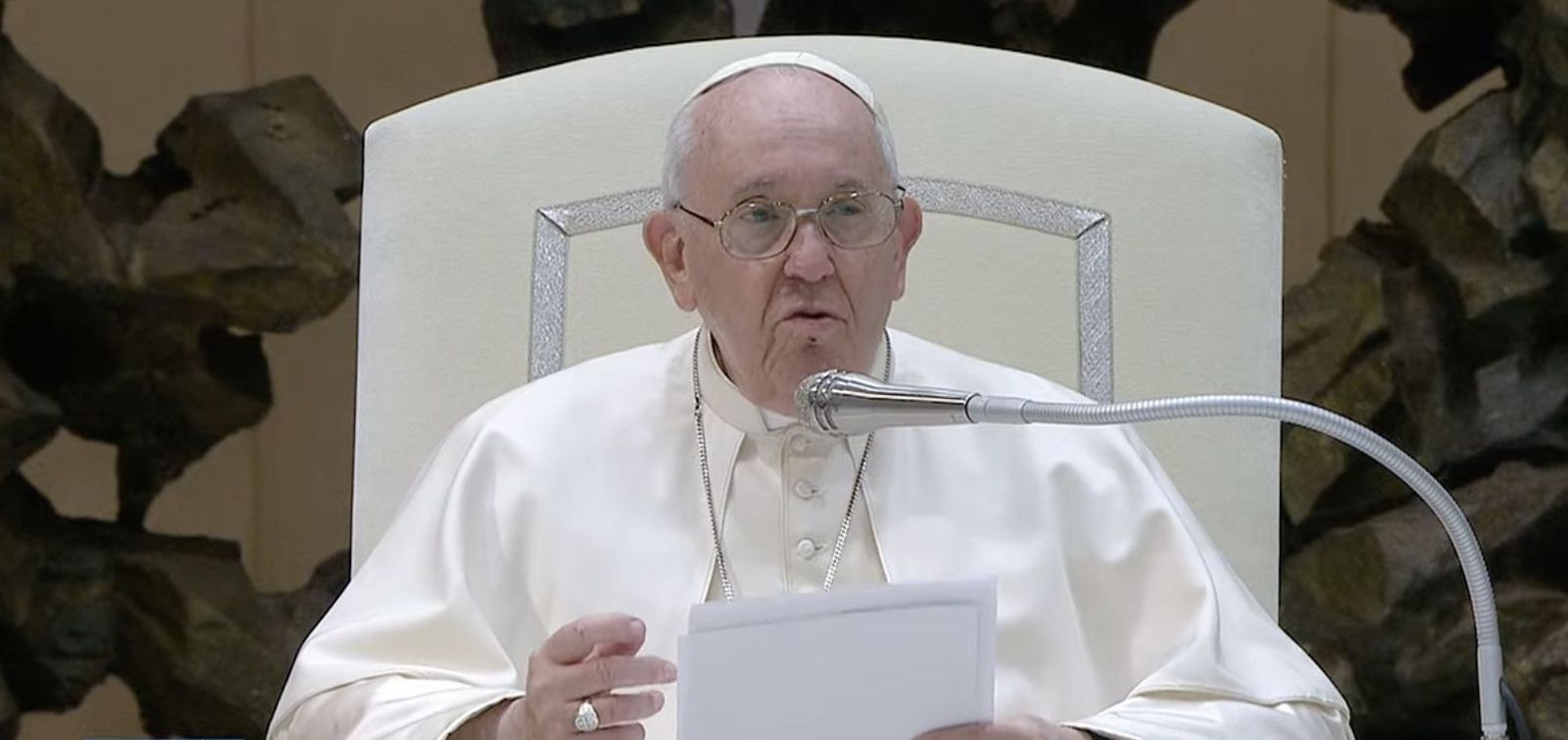 El Papa, durante la audiencia