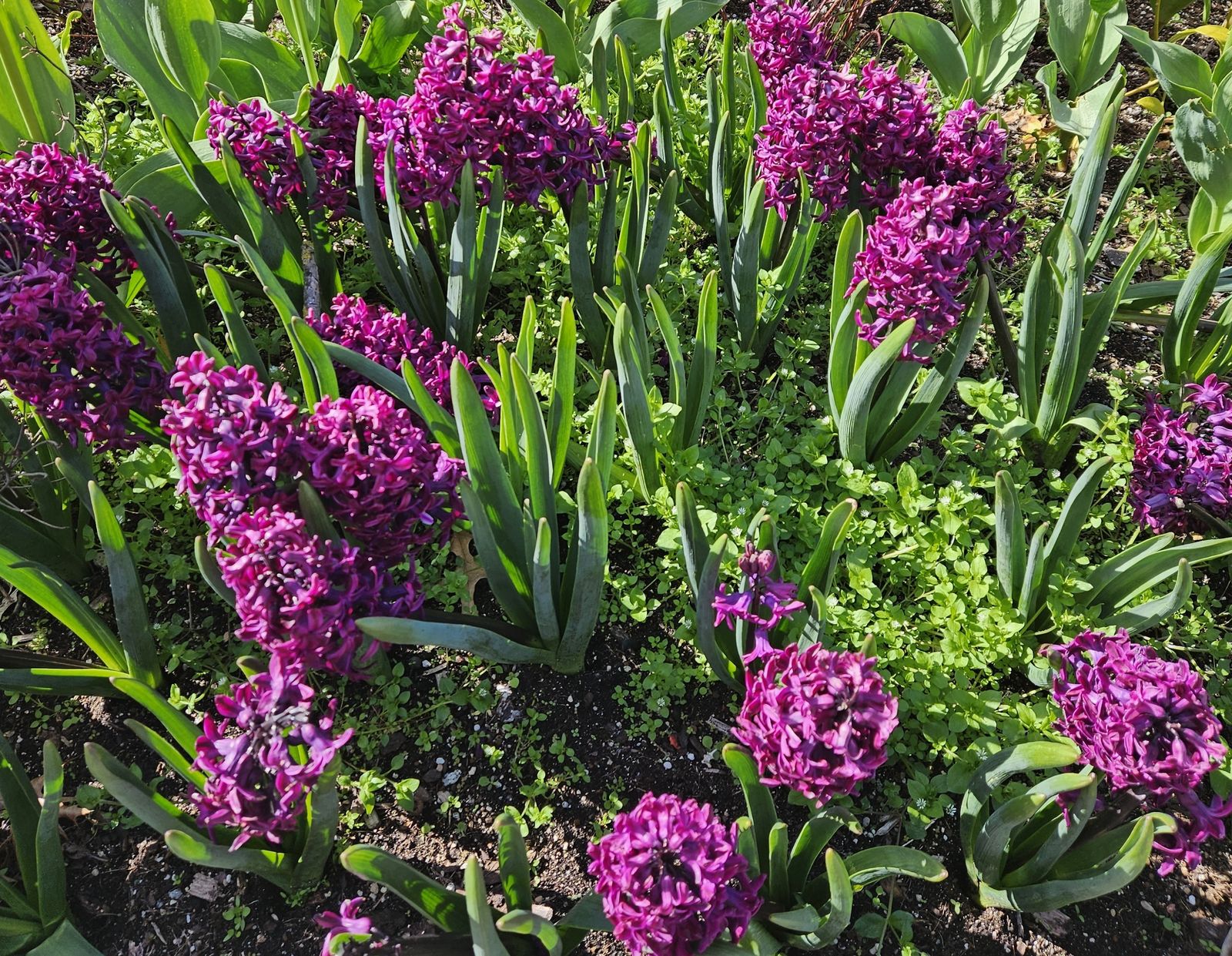 14 de mayo: Mes de María