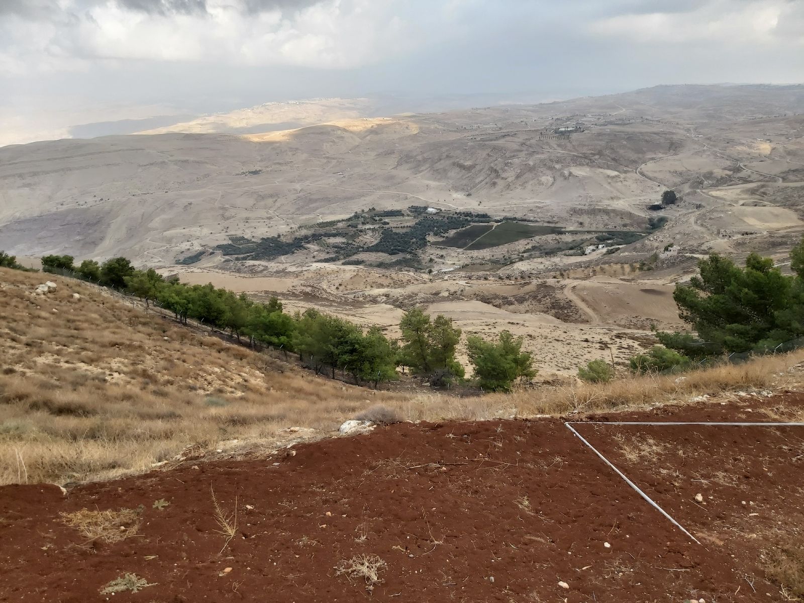 XXVIII Domingo del Tiempo Ordinario "B"