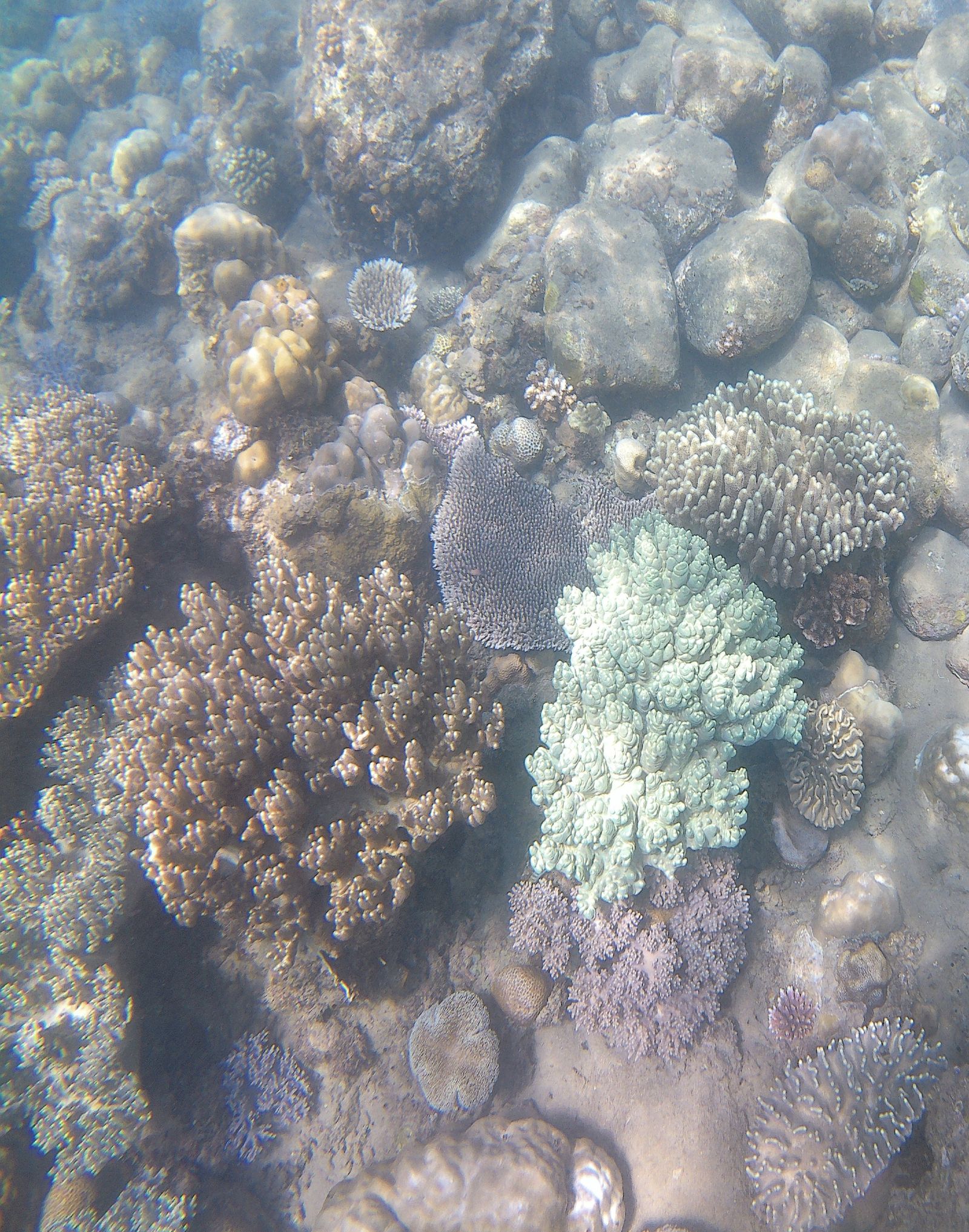 La costa con mayor biodiversidad