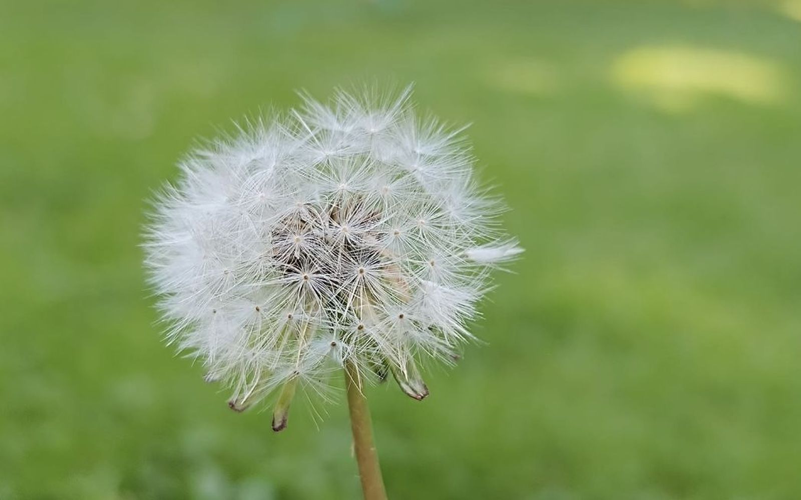 "Venid vosotros solos a un lugar desierto y descansad un poco"