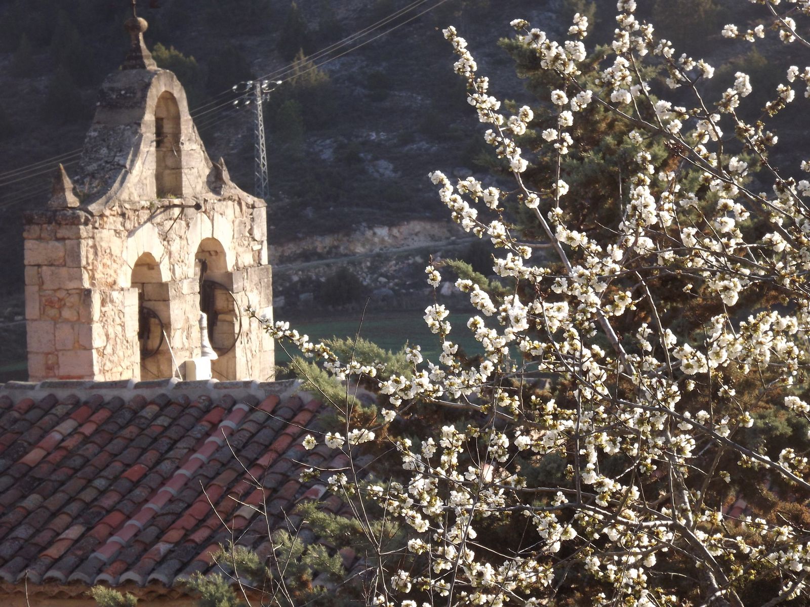 Camino de Luz: Vigesimocuarta etapa