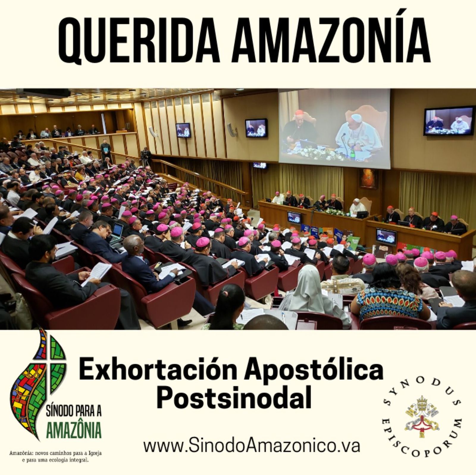 Querida Amazonia