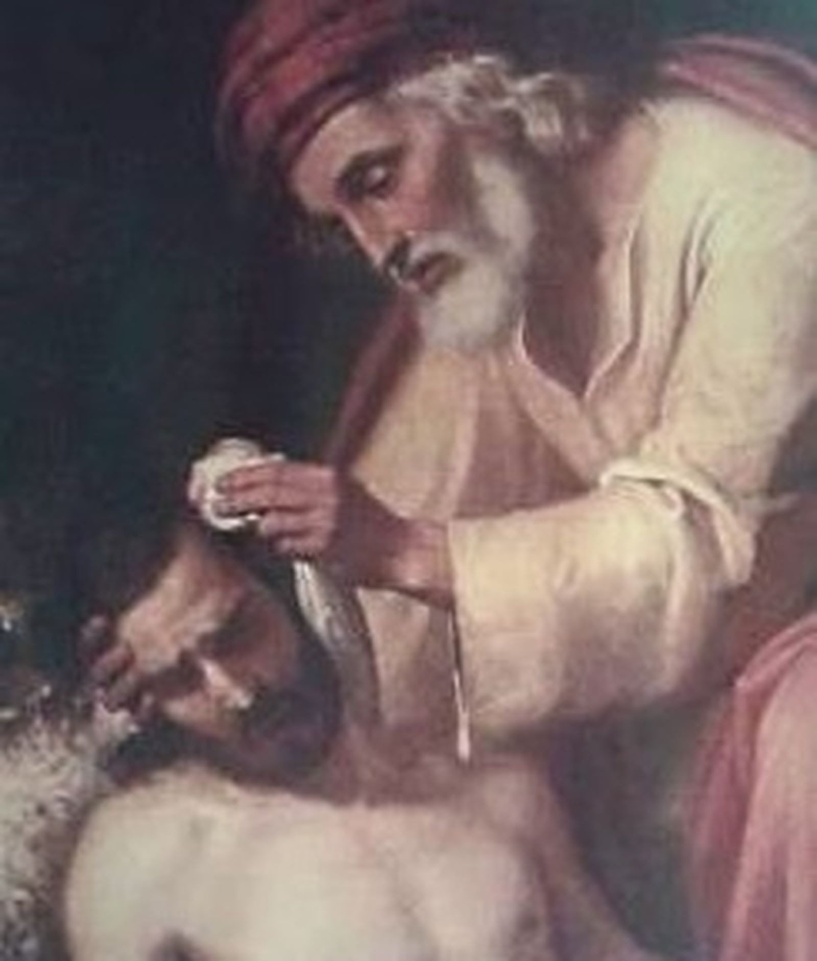 13 de julio: XV Domingo T.O.