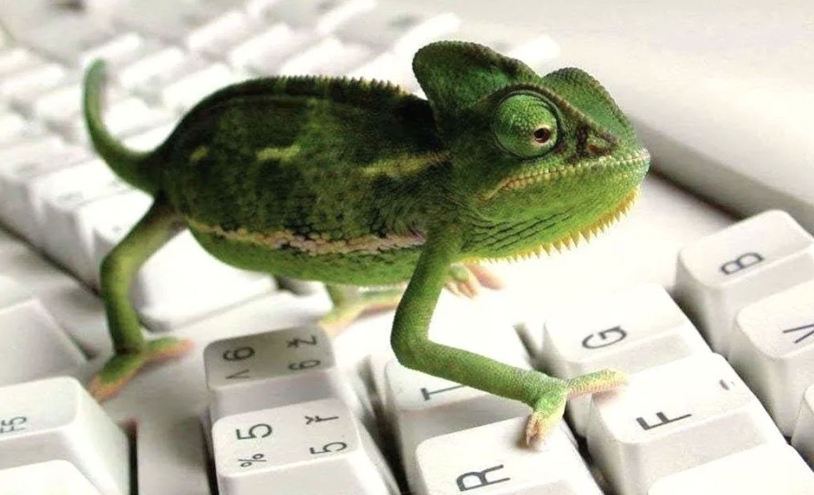 Palabras secuestradas