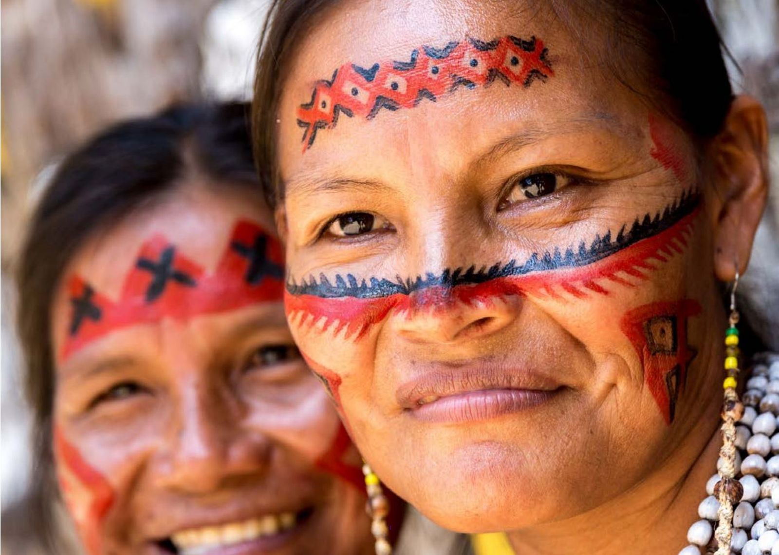 Portada de la Guía de estudio, para dialogar sobre Querida Amazonía y Laudato si'