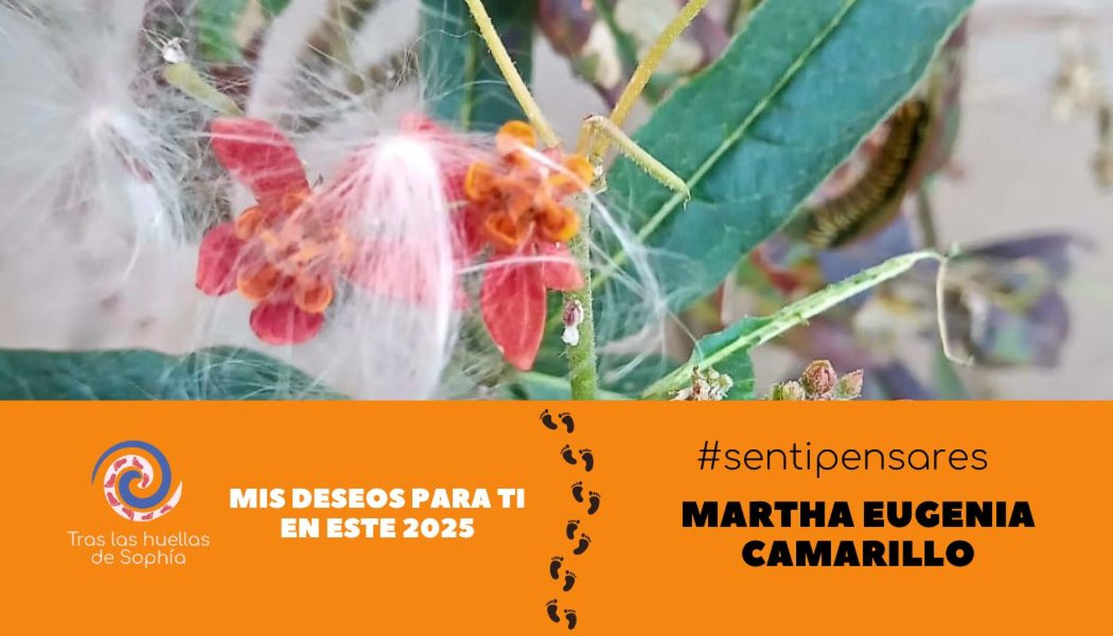 Mis deseos para ti en este 2025