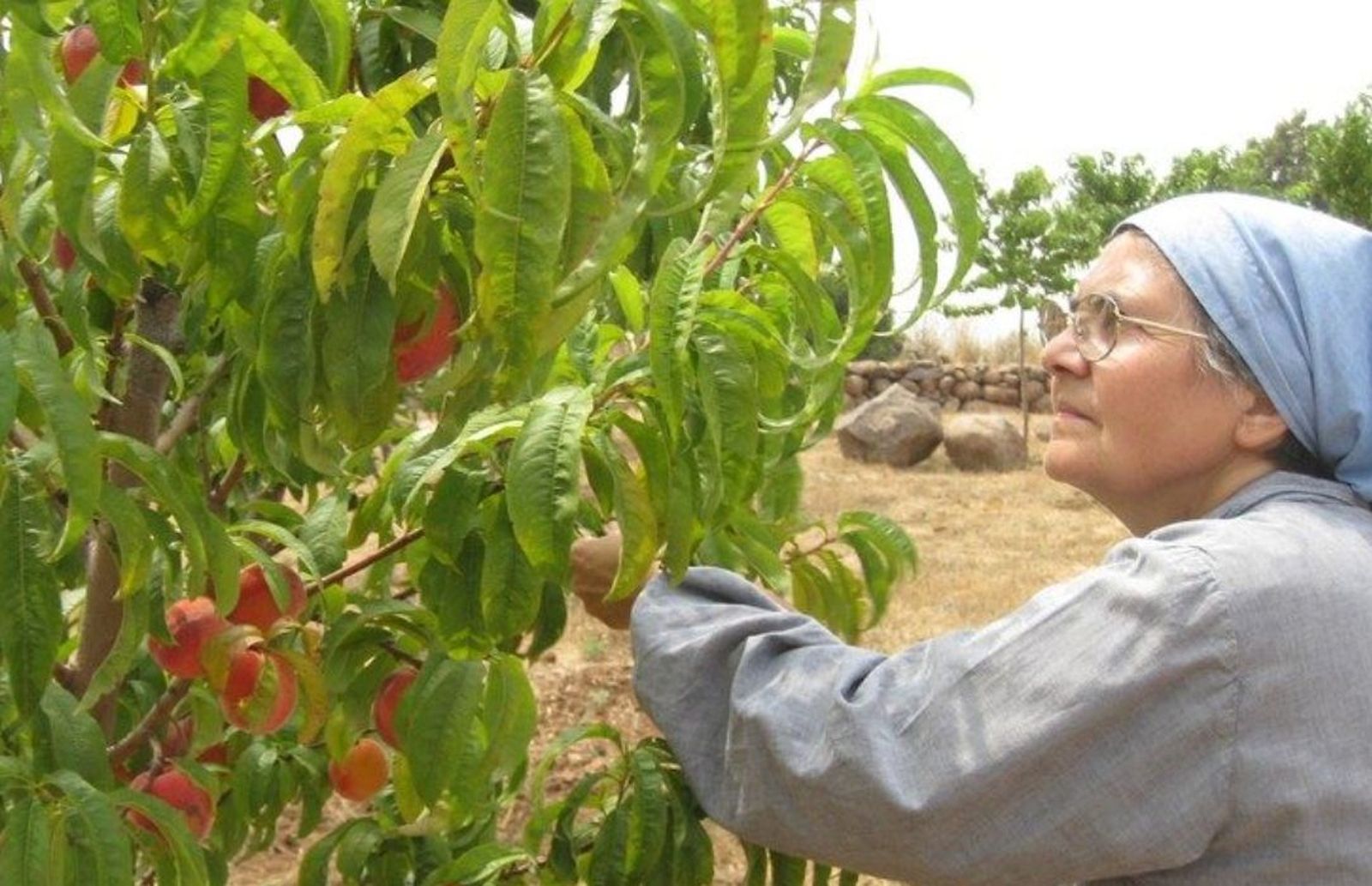 Huerto de la comunidad trapense en Siria