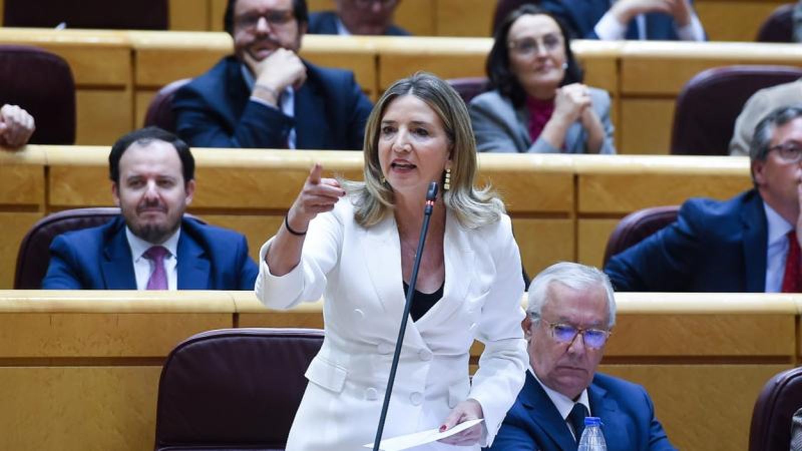 Alicia García en el Senado