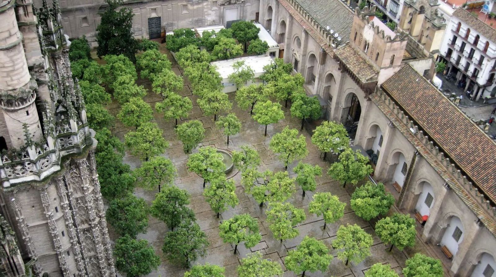 Patio de los Naranjos de la catedral de Sevilla