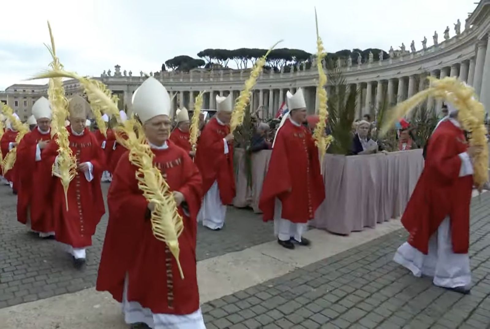 Obispos y cardenales portan los ramos en la procesión en la plaza de San Pedro