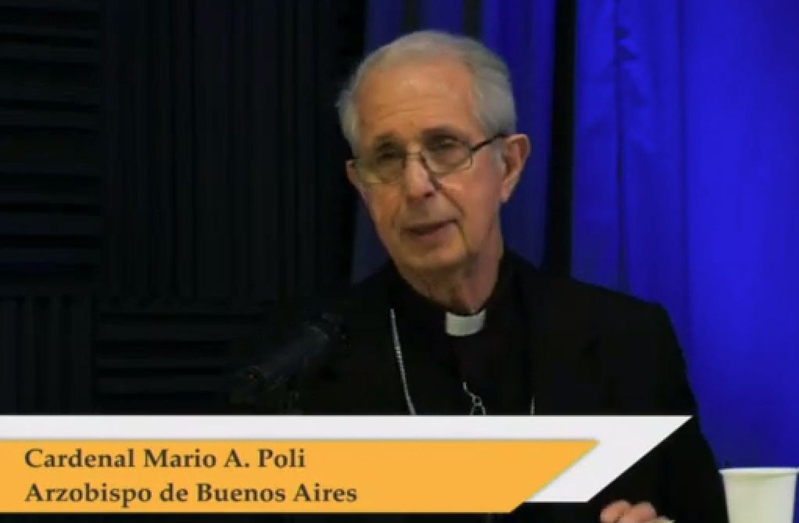 Poli durante el webinar