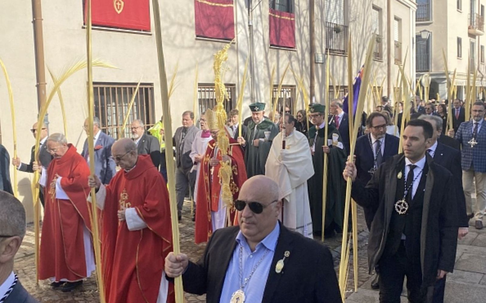 Procesión de las palmas en Zamora