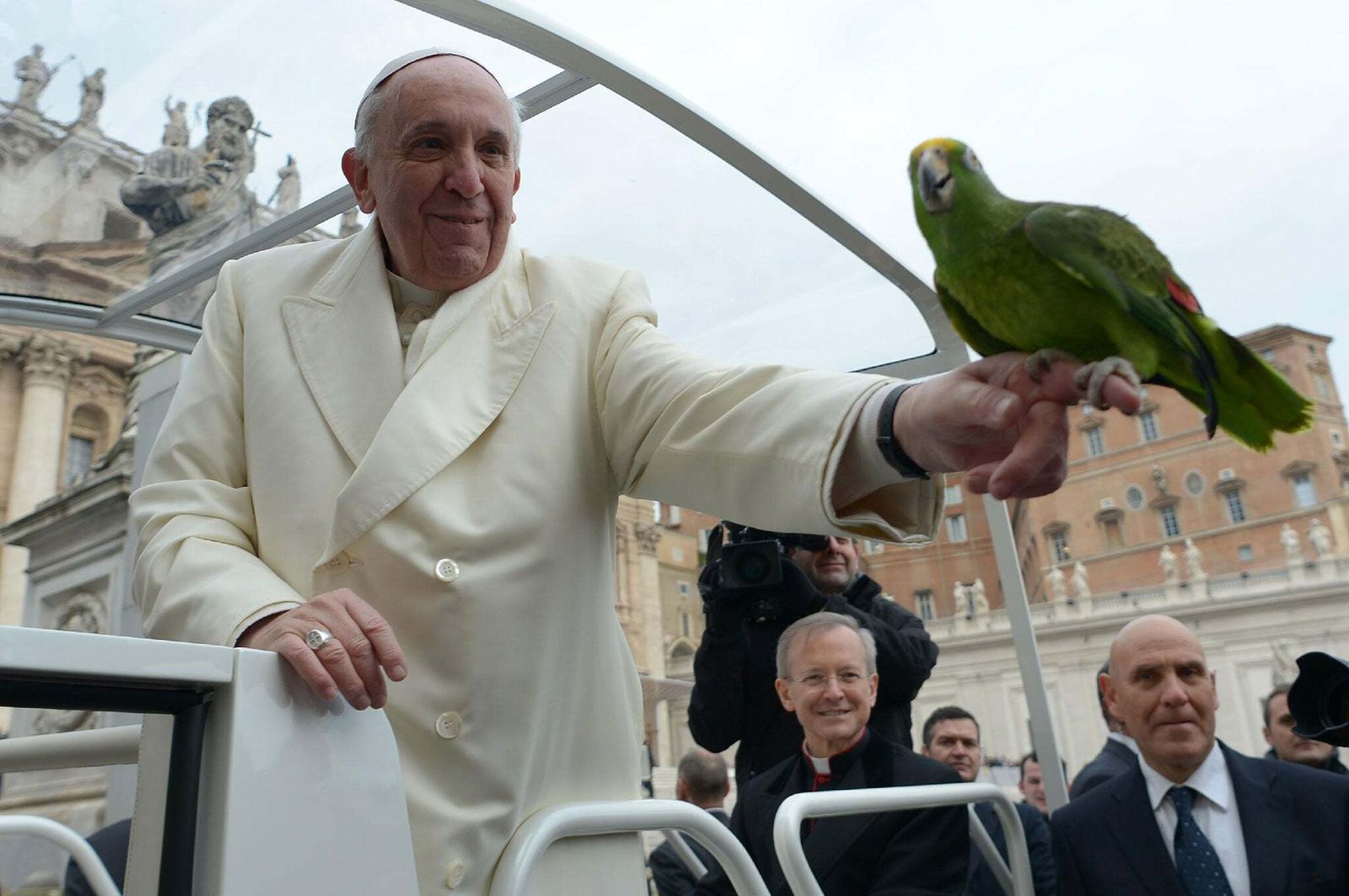 Francisco, el Papa verde