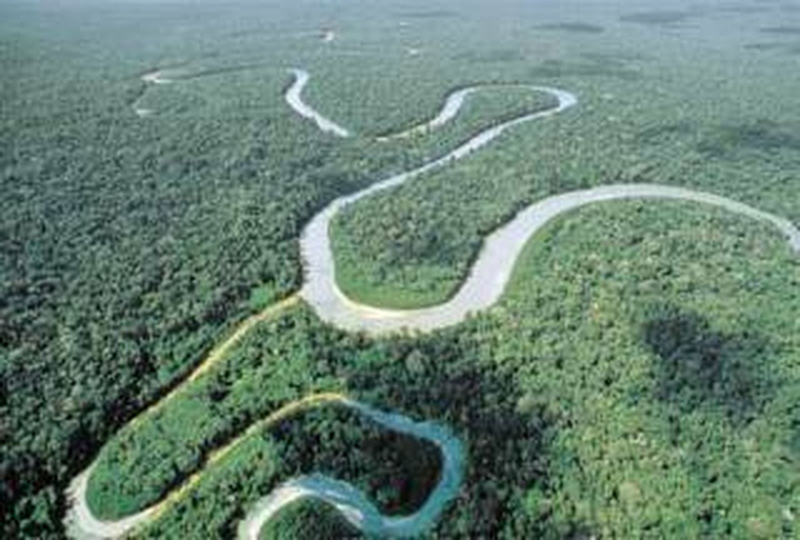 amazonia