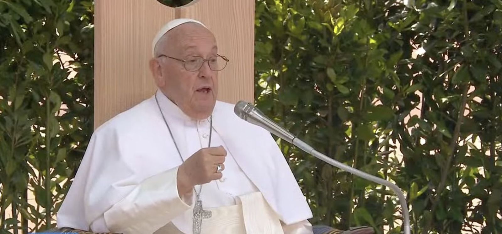 Papa Francisco en Verona