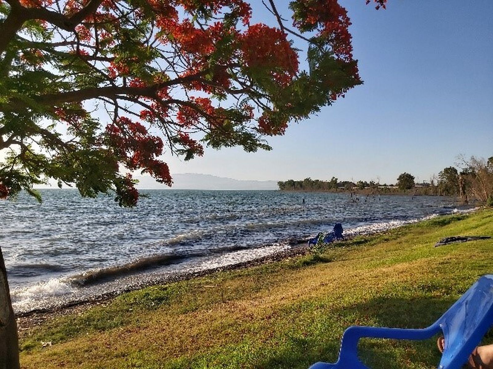 XIV Domingo del Tiempo Ordinario