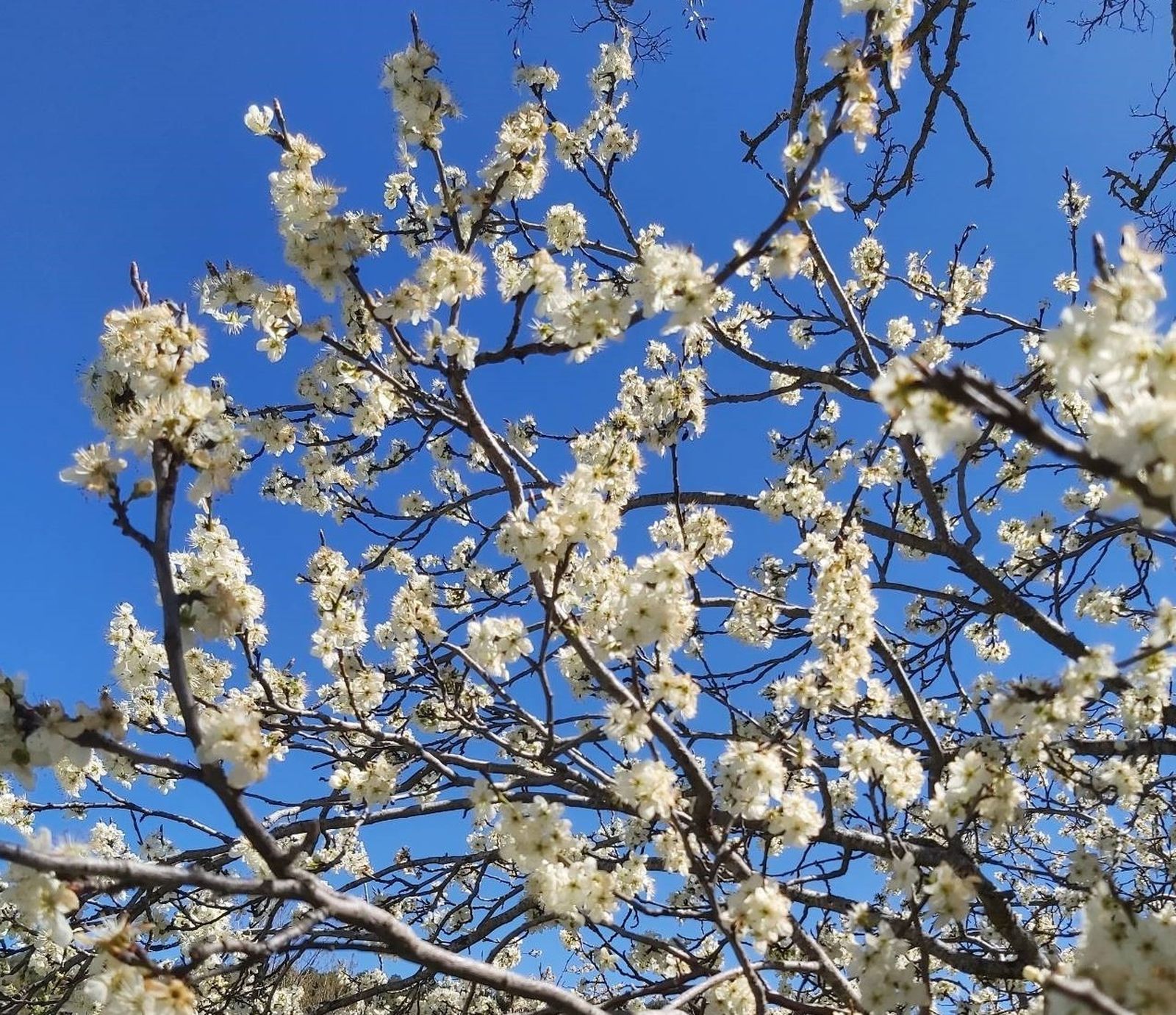 Miércoles de la Octava de Pascua