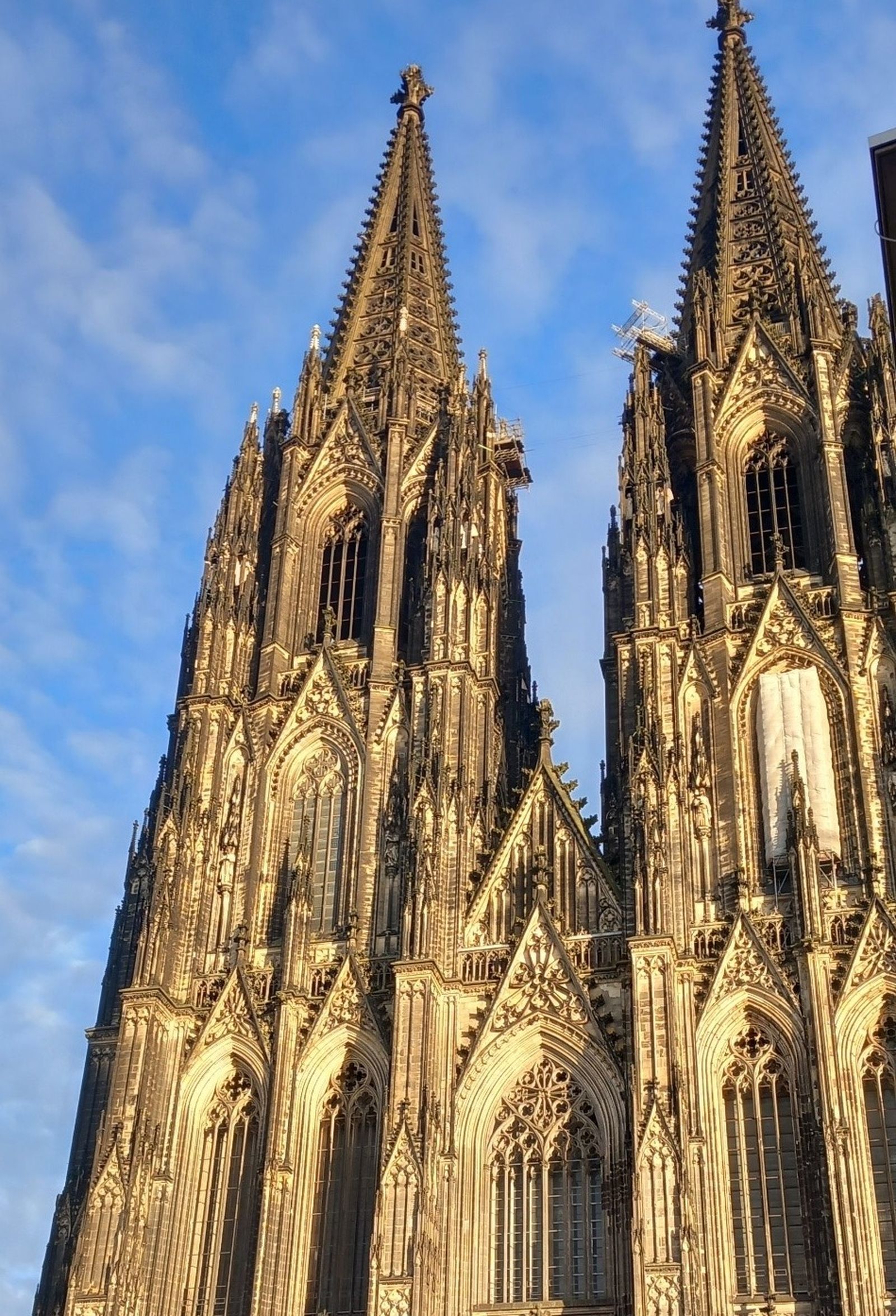 2 de Marzo: VIII Domingo del Tiempo Ordinario