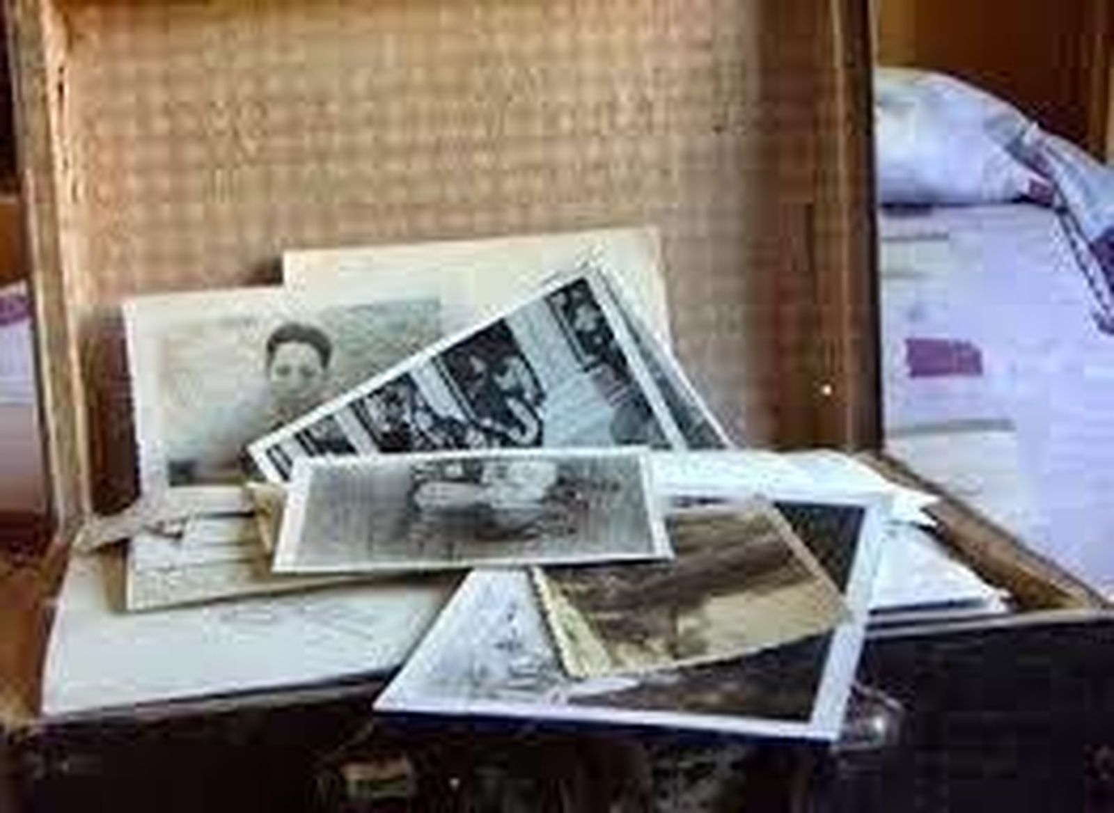 El acogedor hueco de tu mano