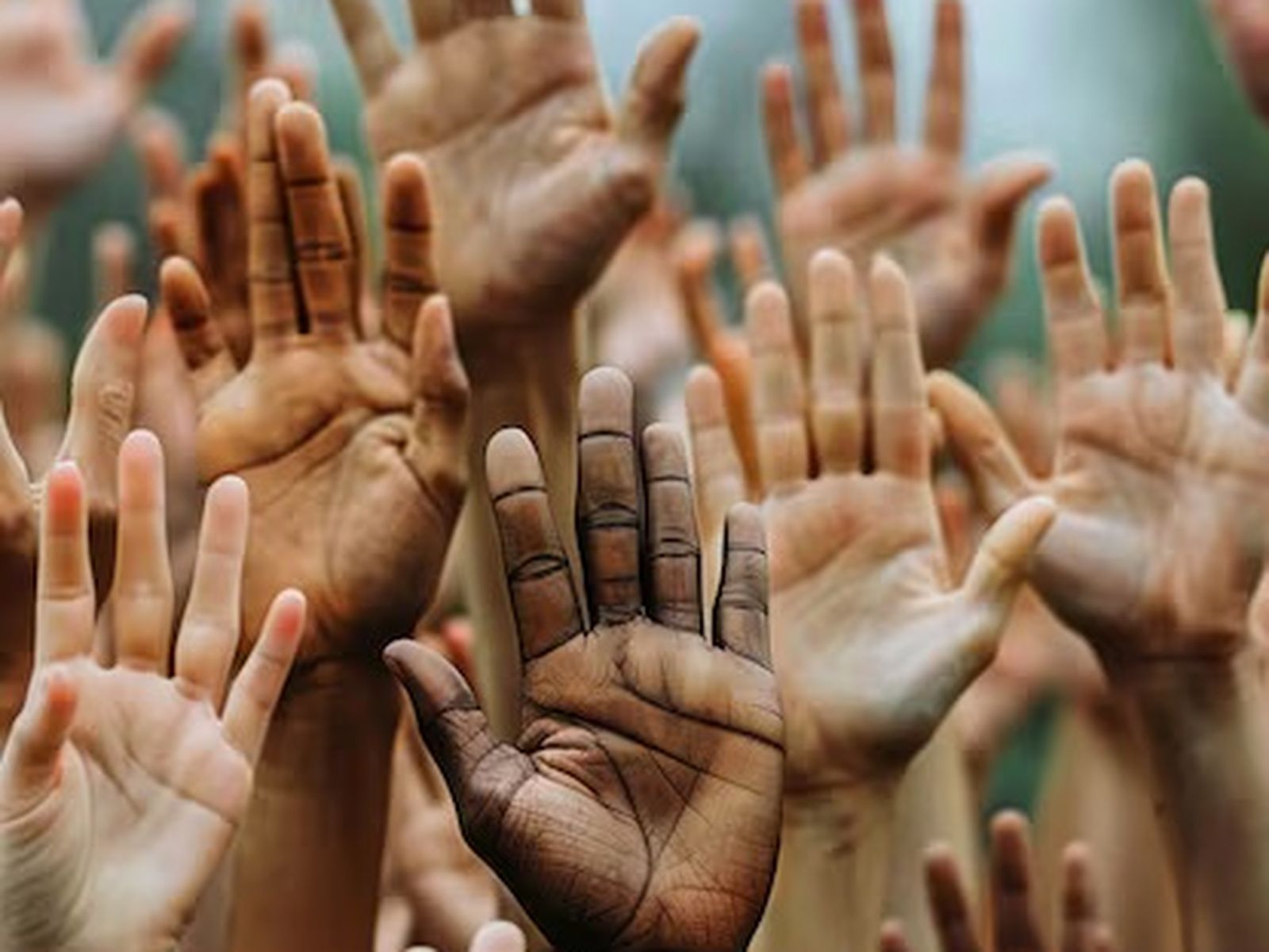 Minorías comprometidas