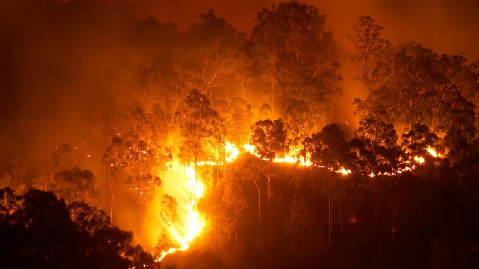 Incencendios en Europa