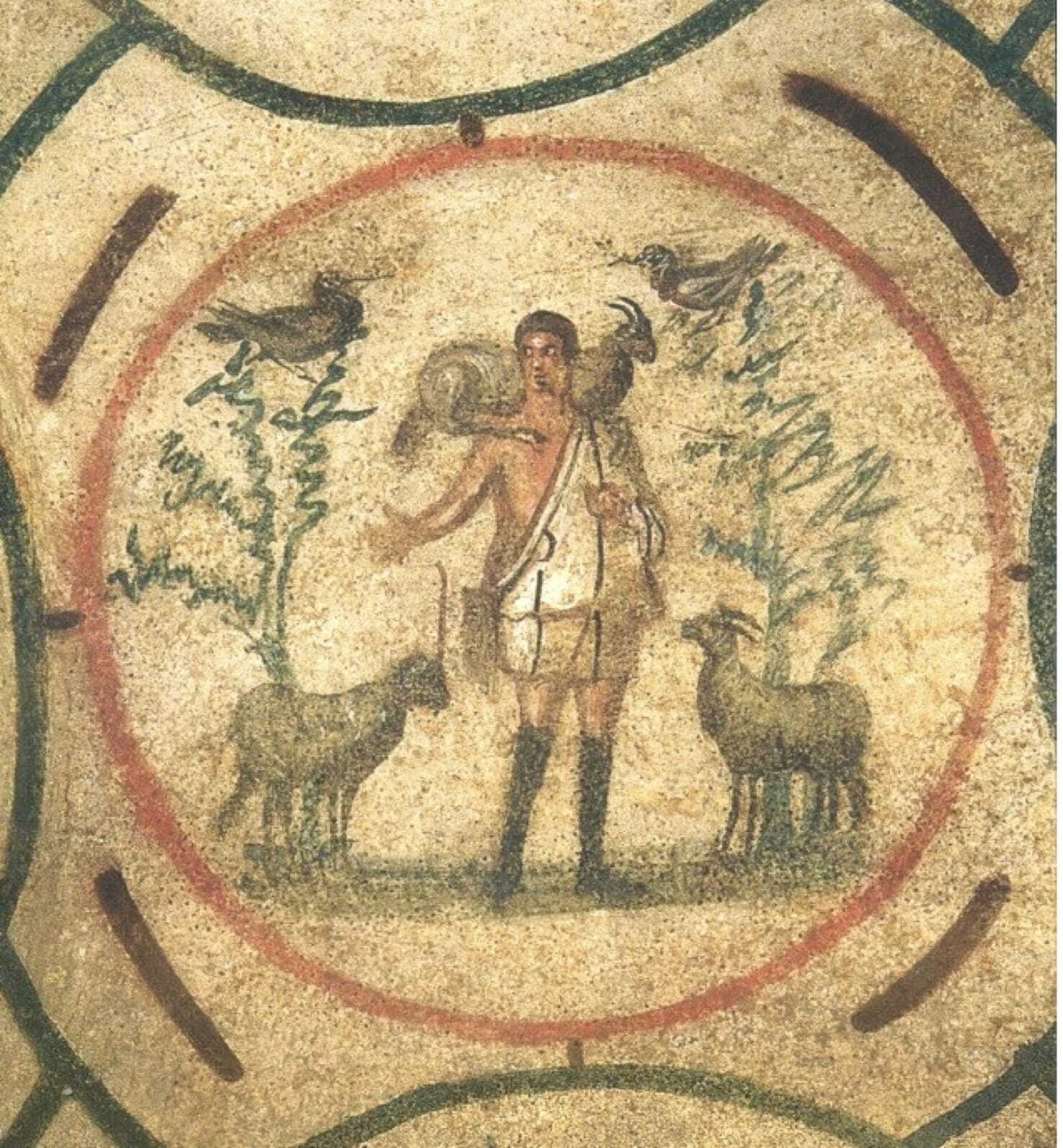 II Martes de Adviento