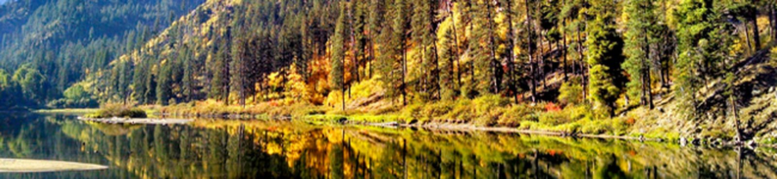 bach-armstrong-omensch