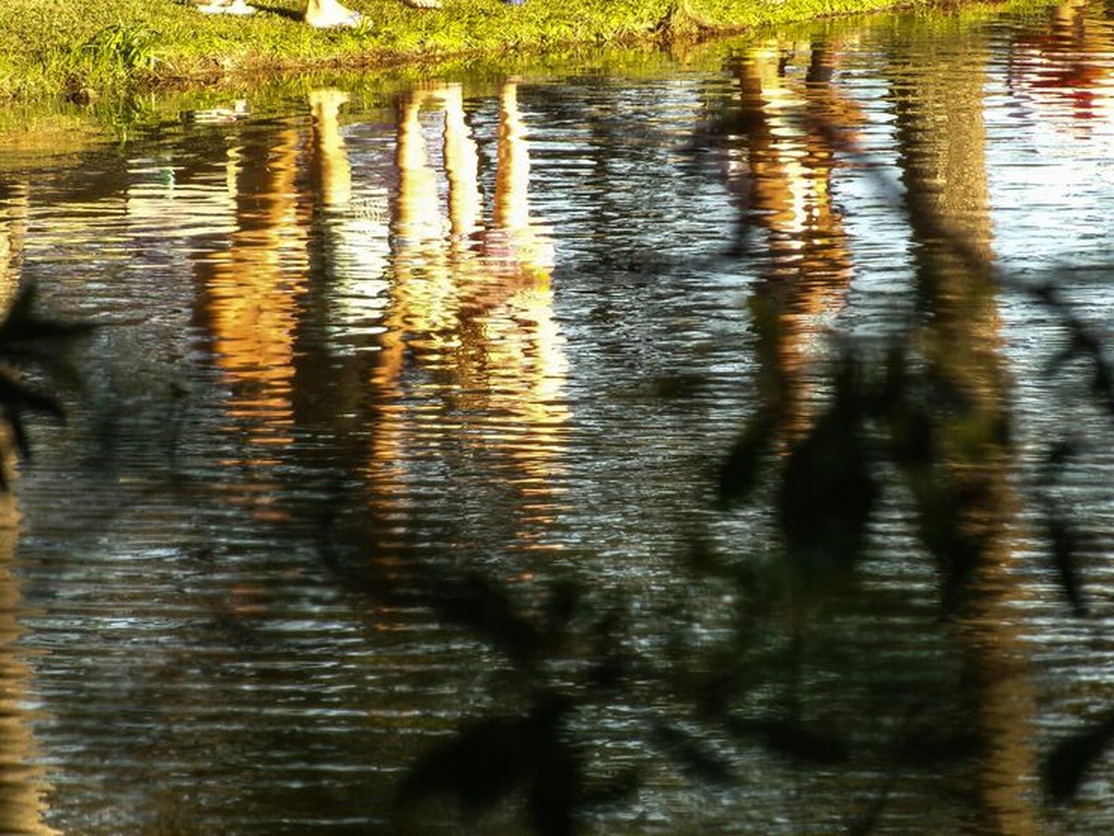 Hay recuerdos que encienden