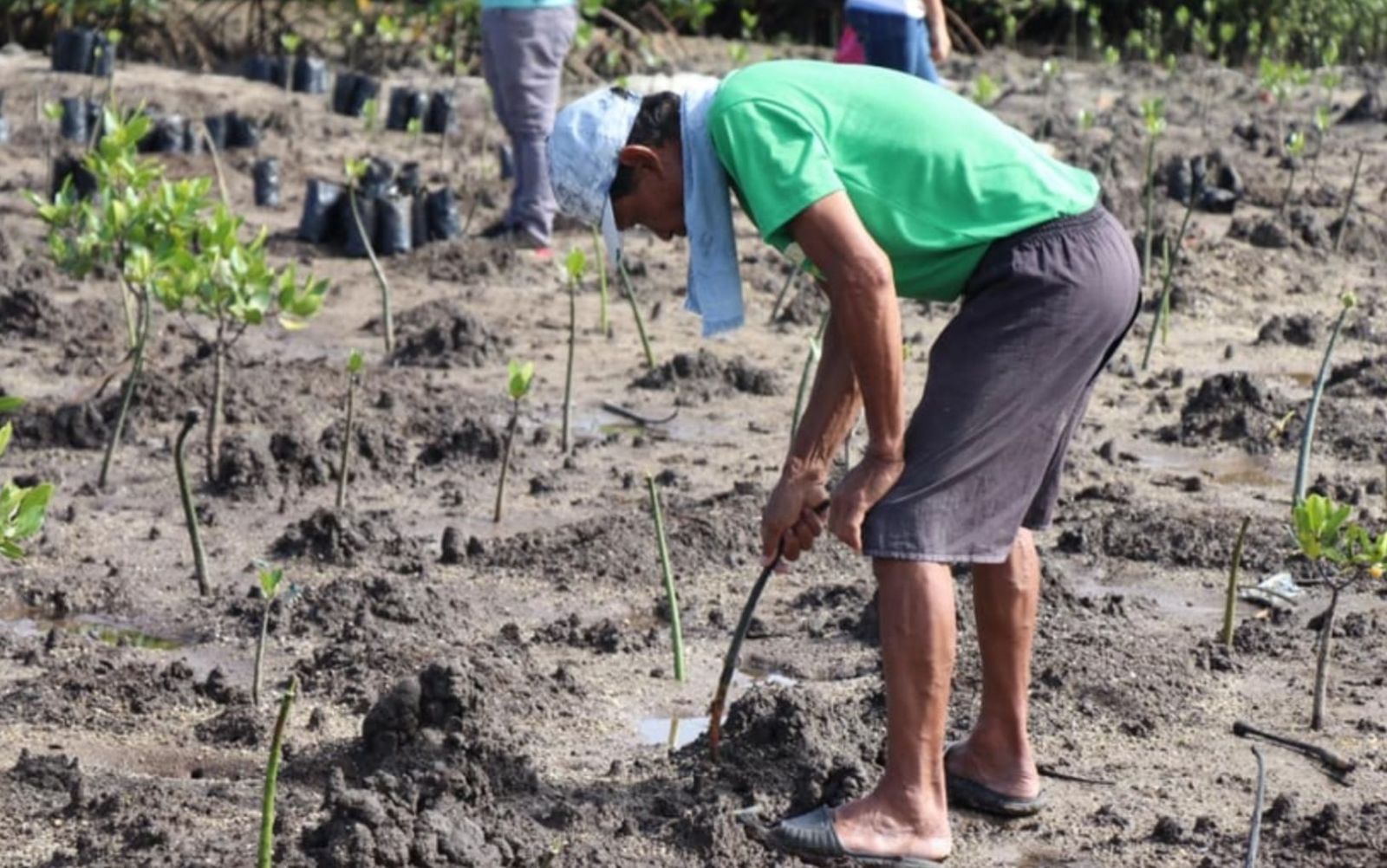 Manos Unidas y la defensa de la naturaleza