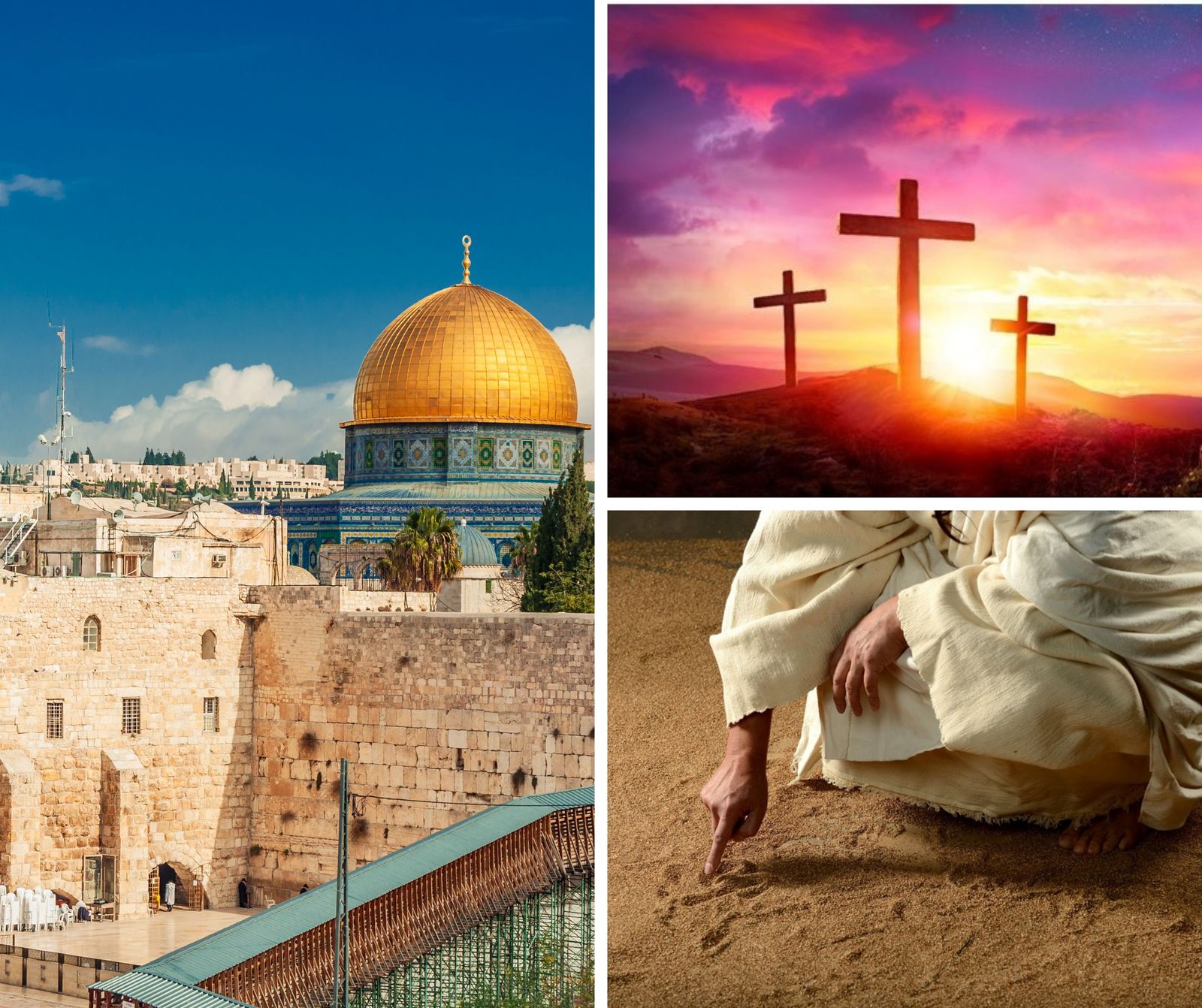 Flores Pétalos Descuento 50% Publicación de Facebook (3)