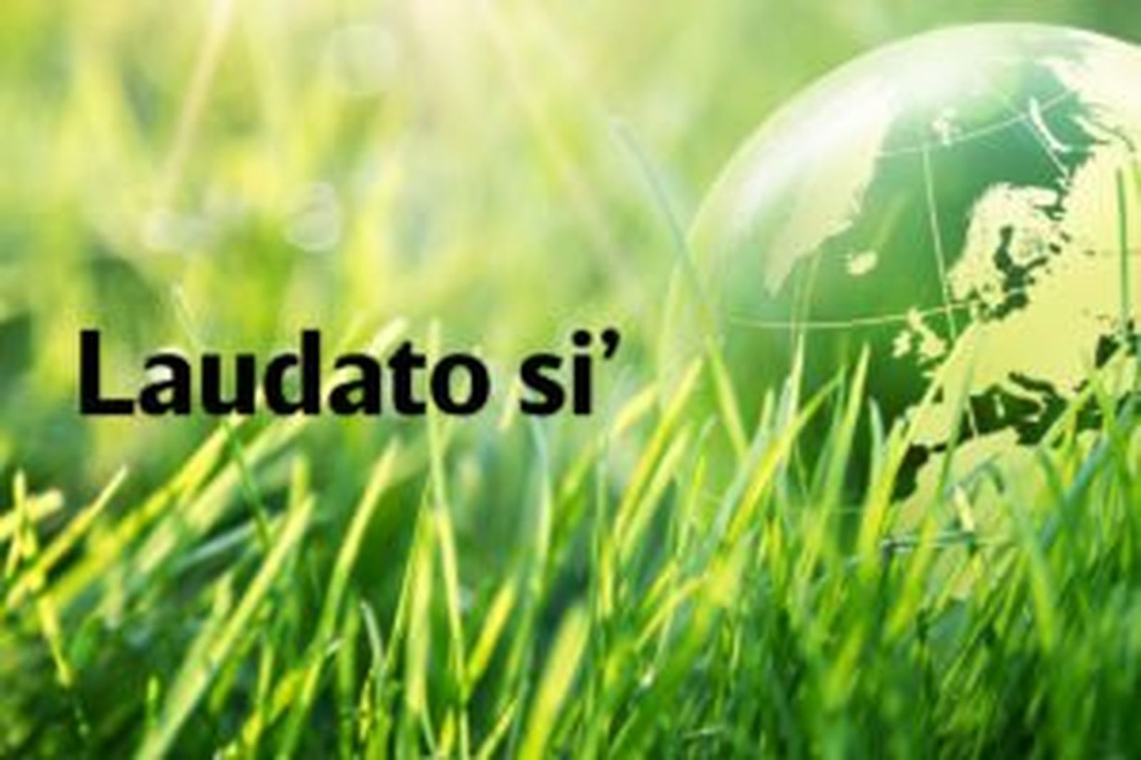 laudato si