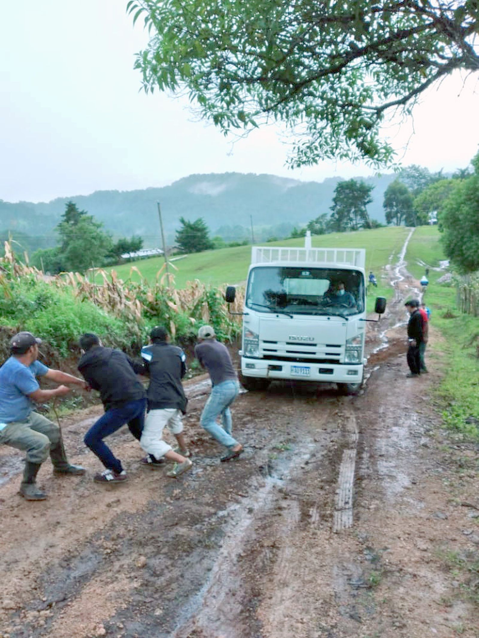 Furgoneta con libros para Tegucigalpa Honduras
