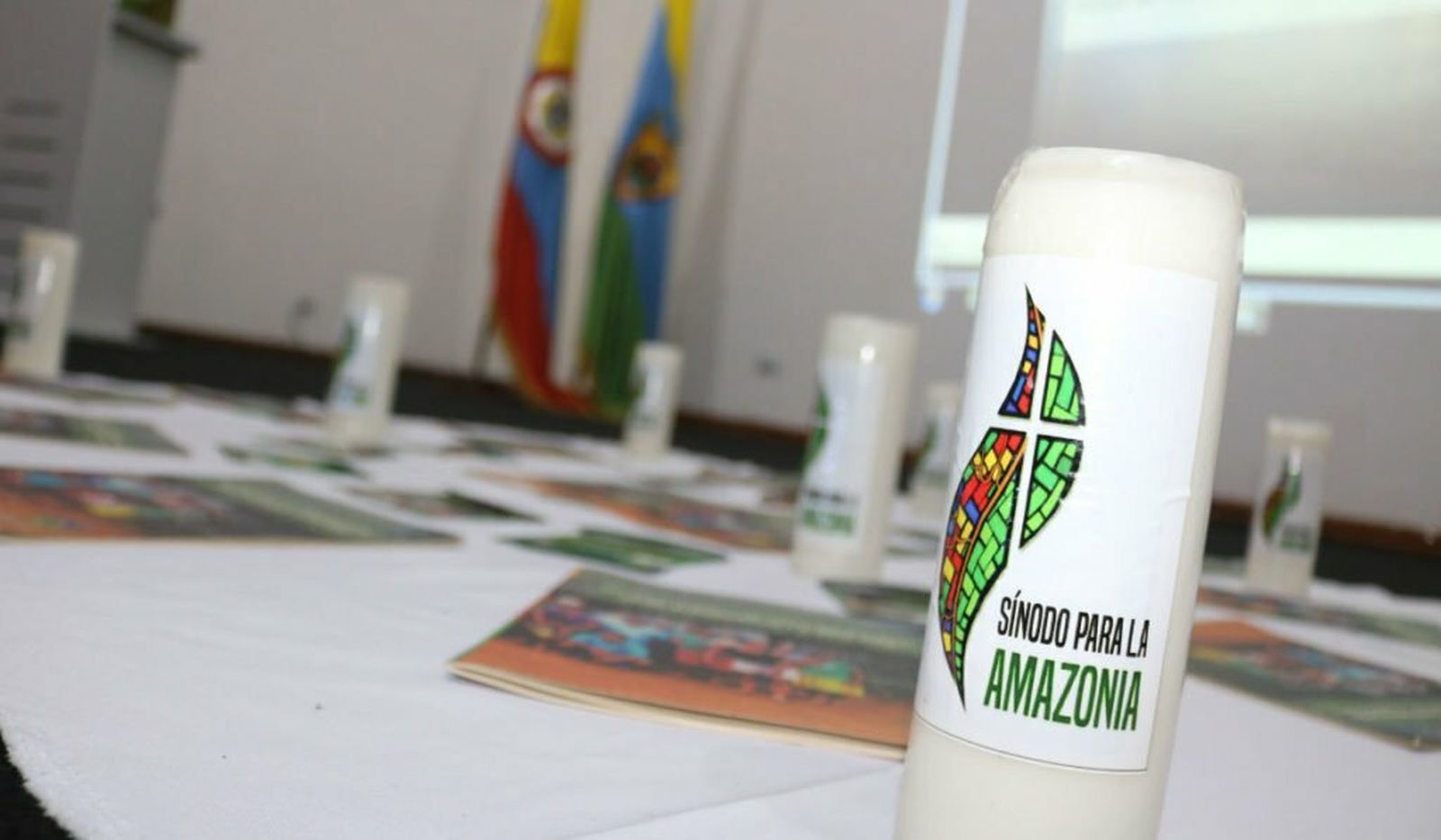 Hacia el Sínodo para la Amazonía