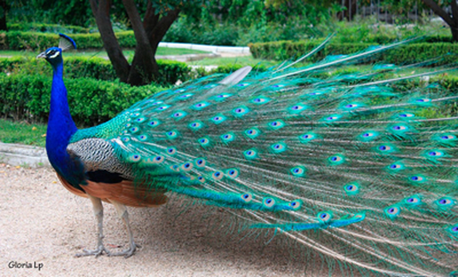 Tres poemas en el Paisaje de la Luz