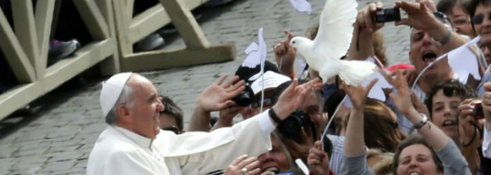 Francisco y la ecología