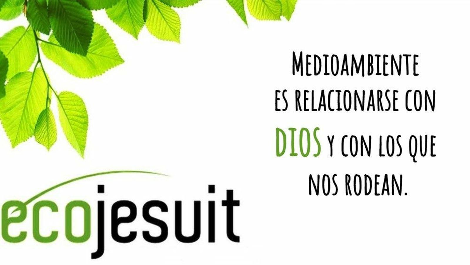 Ecojesuit