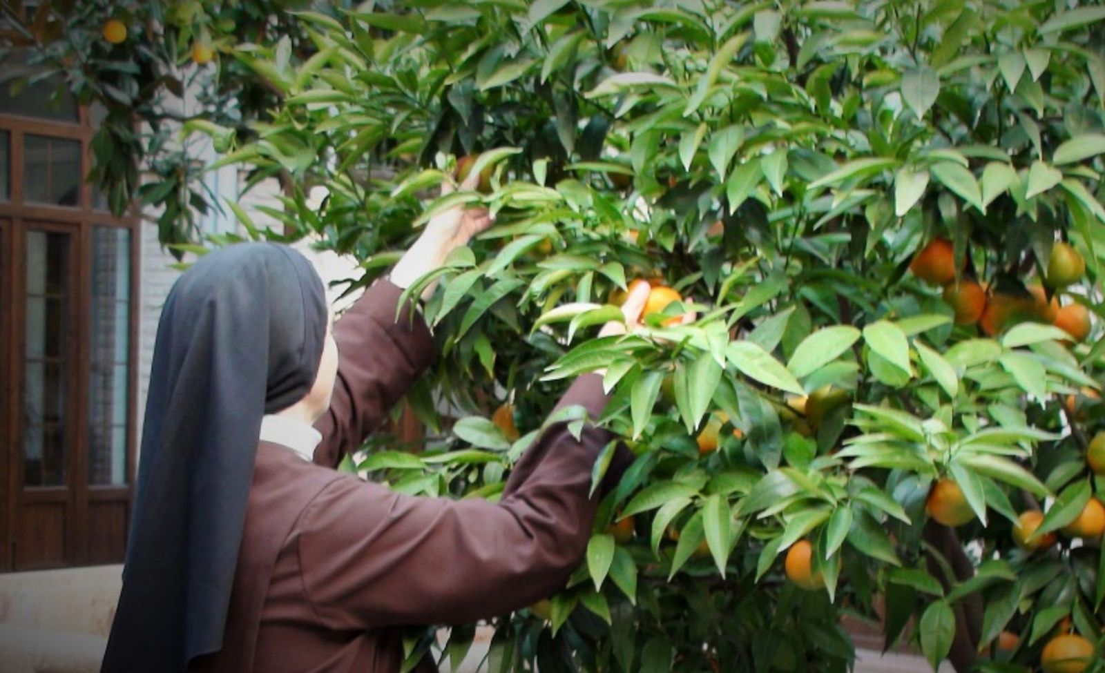 Carmelita descalza de Antequera