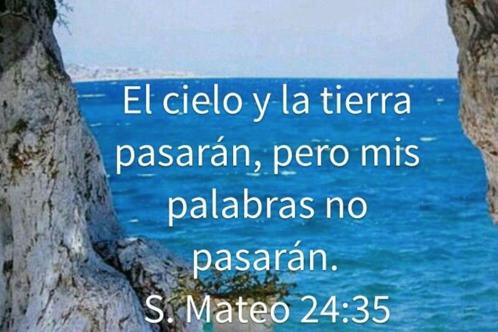 Mis palabras no pasarán