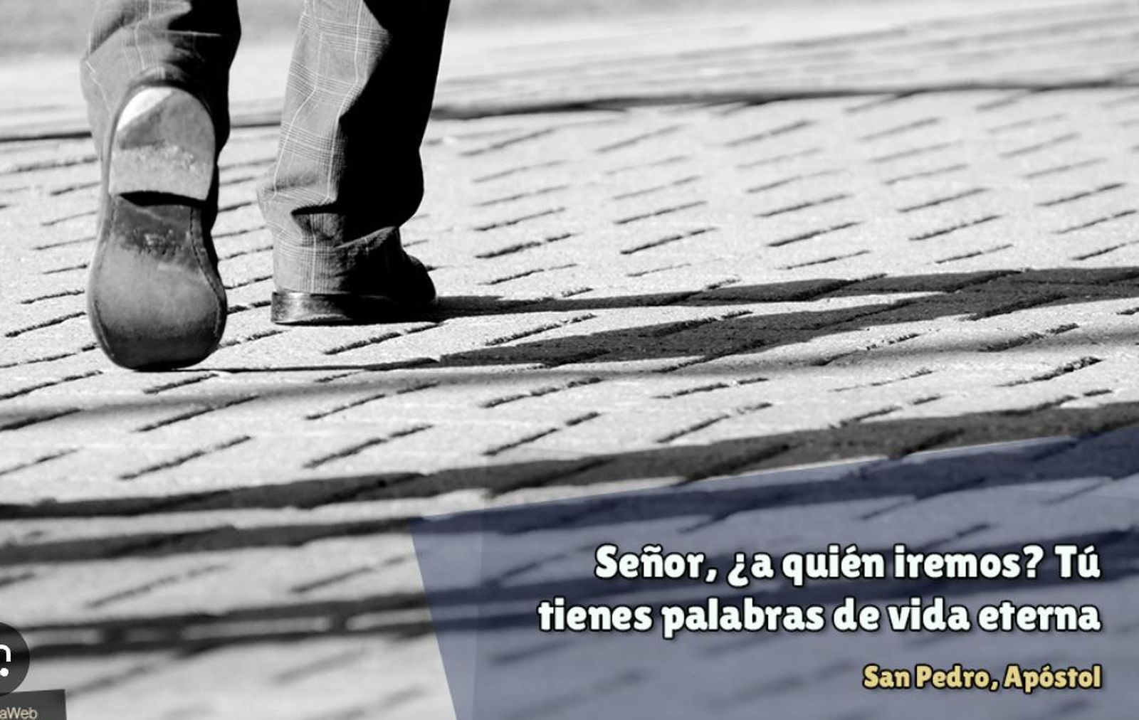 Tú tienes palabras de vida eterna