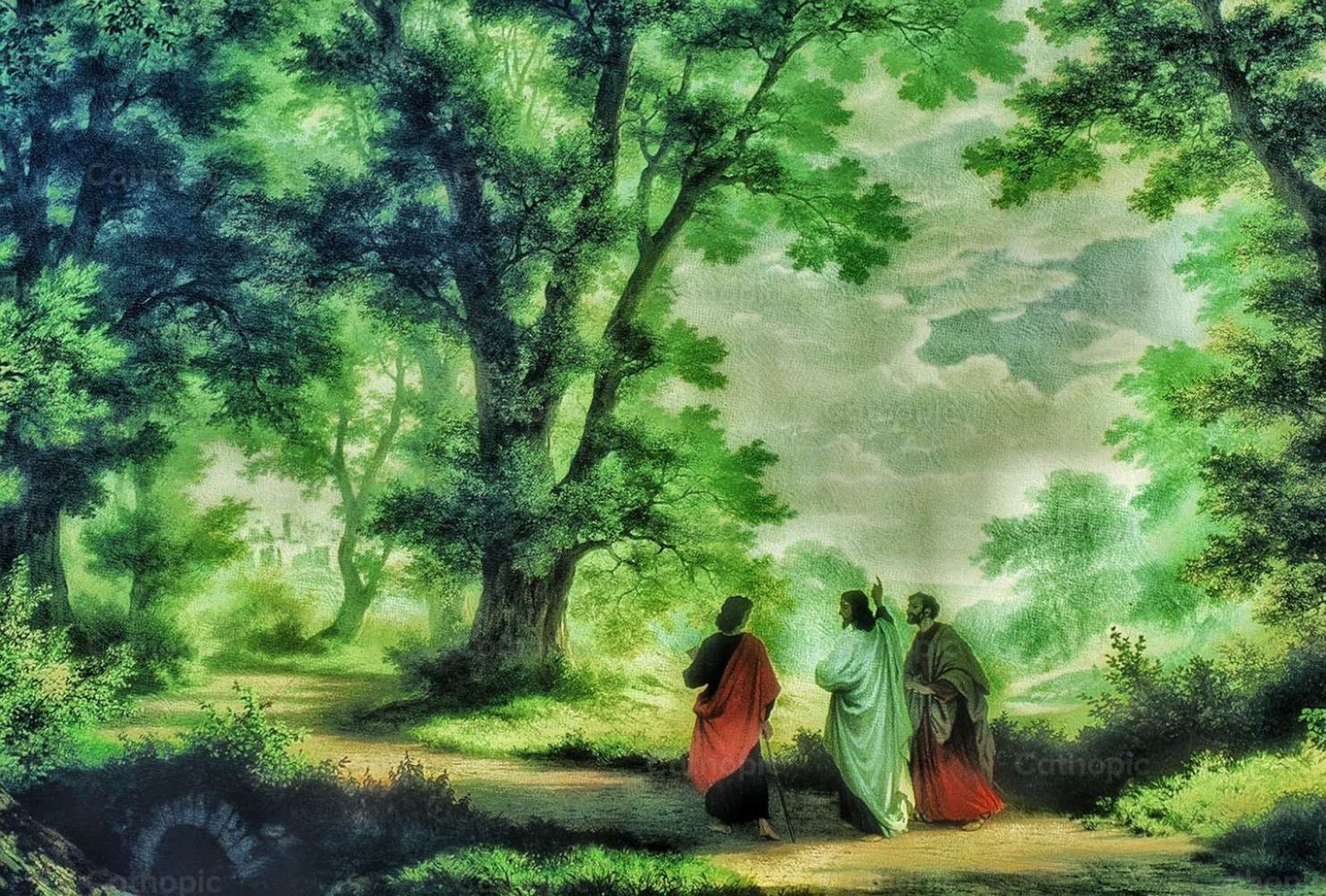 ❤️ ¡Jesús, ¡¡Basta ya!!