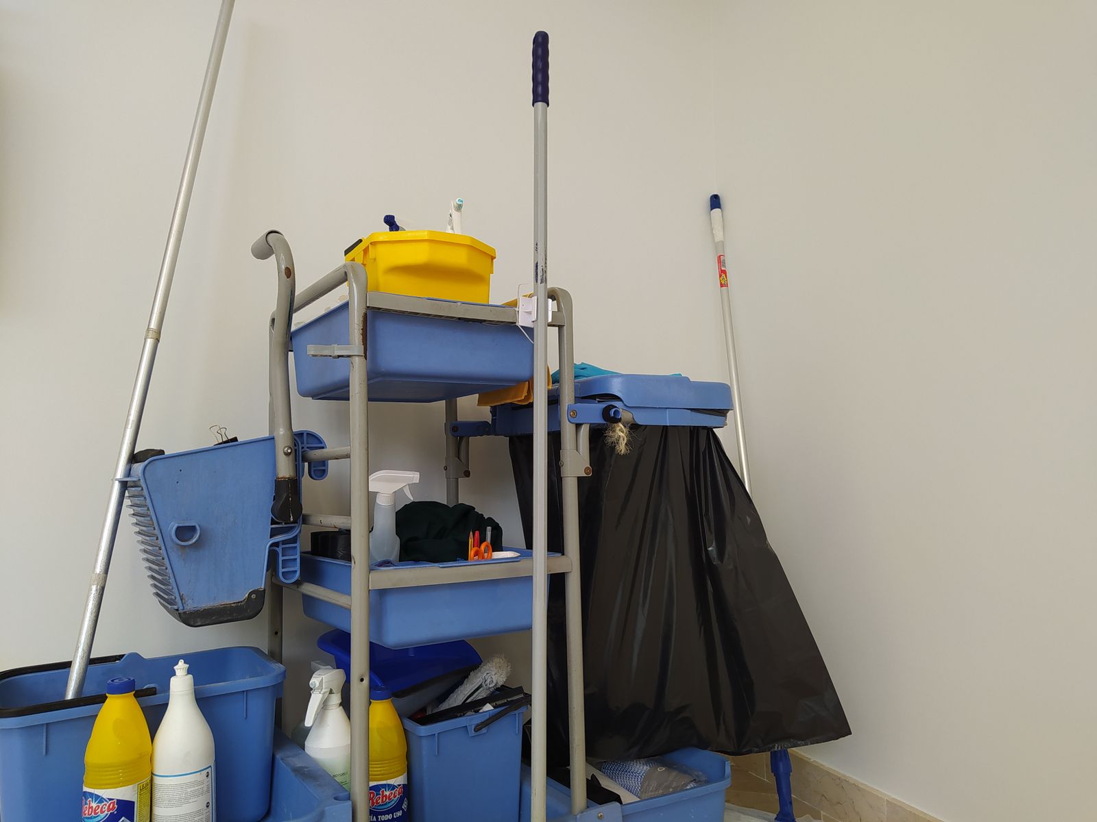 Nace ACTHA, Asociación de Cuidadoras y  Trabajadoras de Hogar de Álava