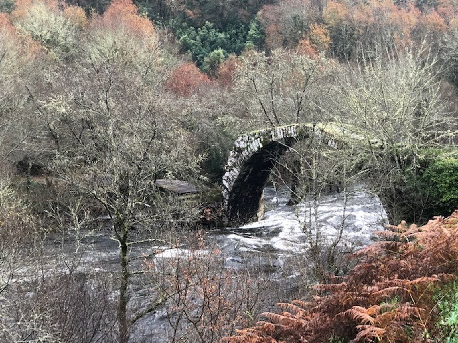 Puente de Pazos de Arenteiro