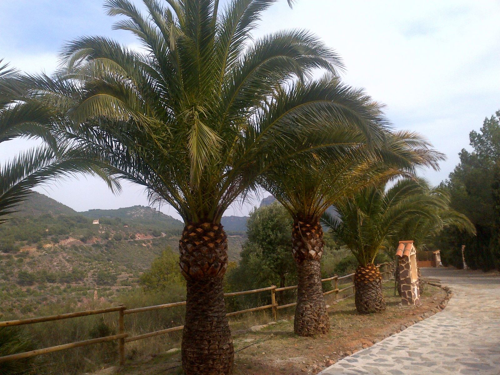 I Viernes de Adviento