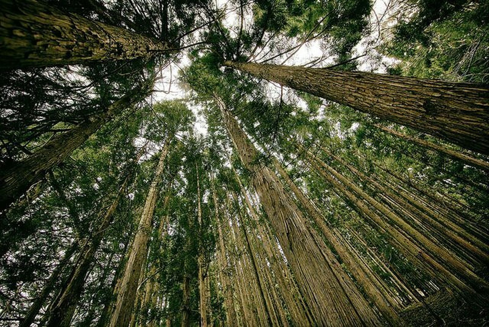 Ecología y espiritualidad