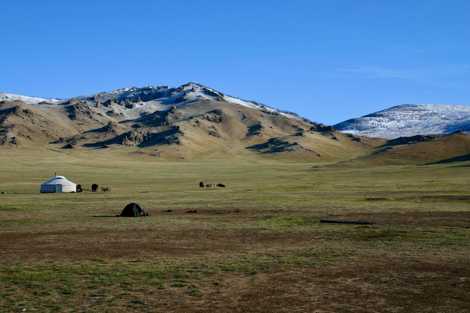 Paisaje de Mongolia, con sus típica vivienda nómada